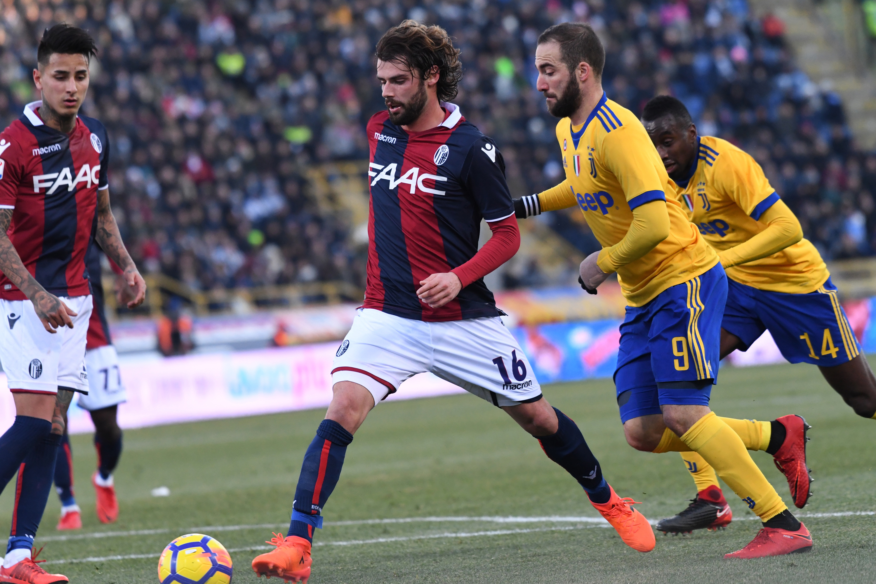 ボローニャ、久しぶりのボロボローにゃ © Bologna FC