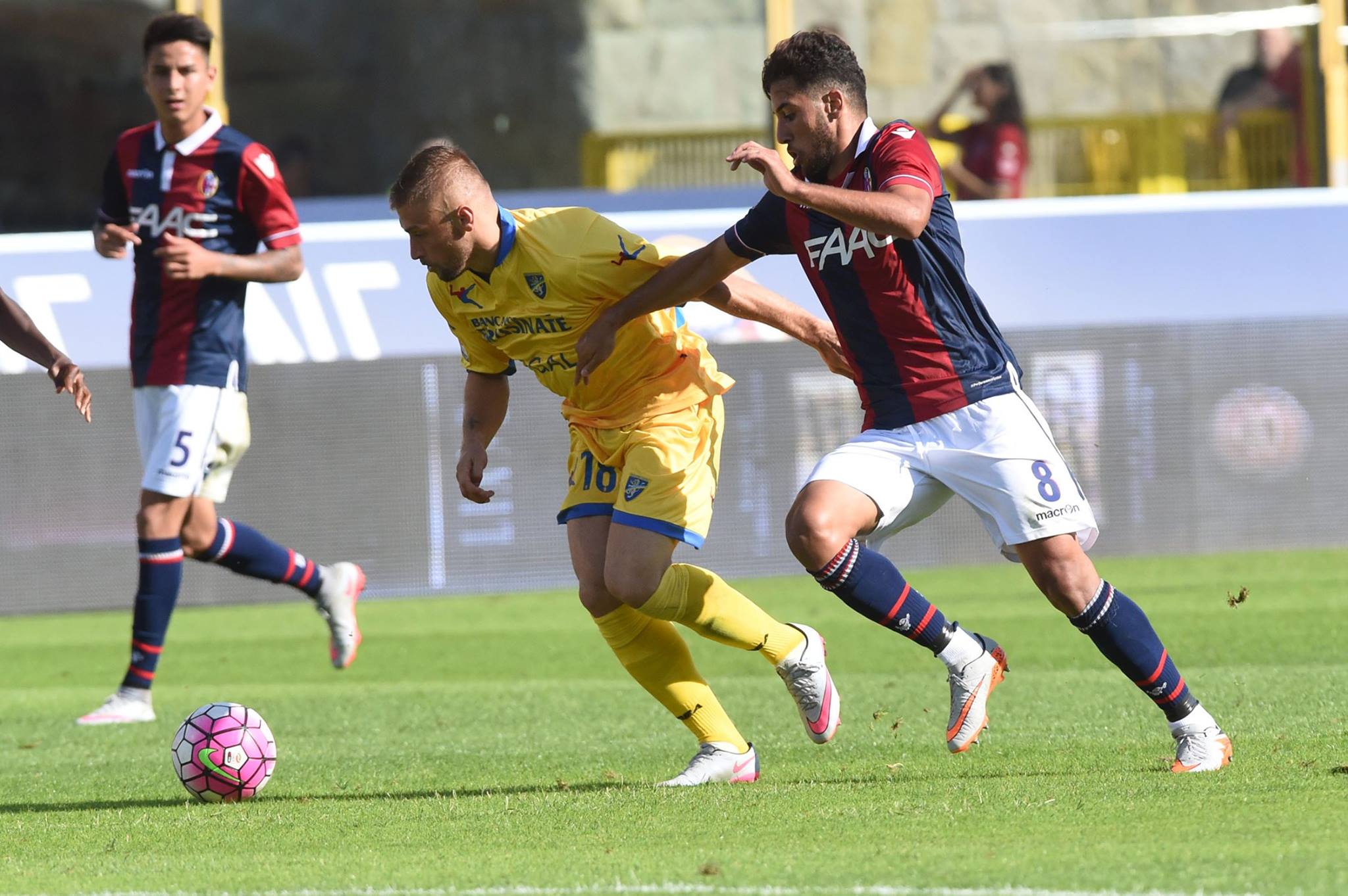 タイデル © Bologna FC